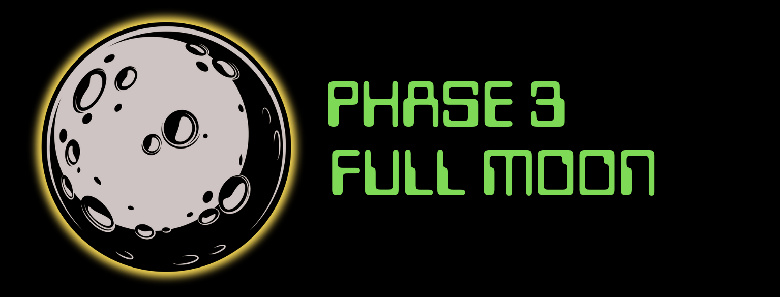 Phase 3